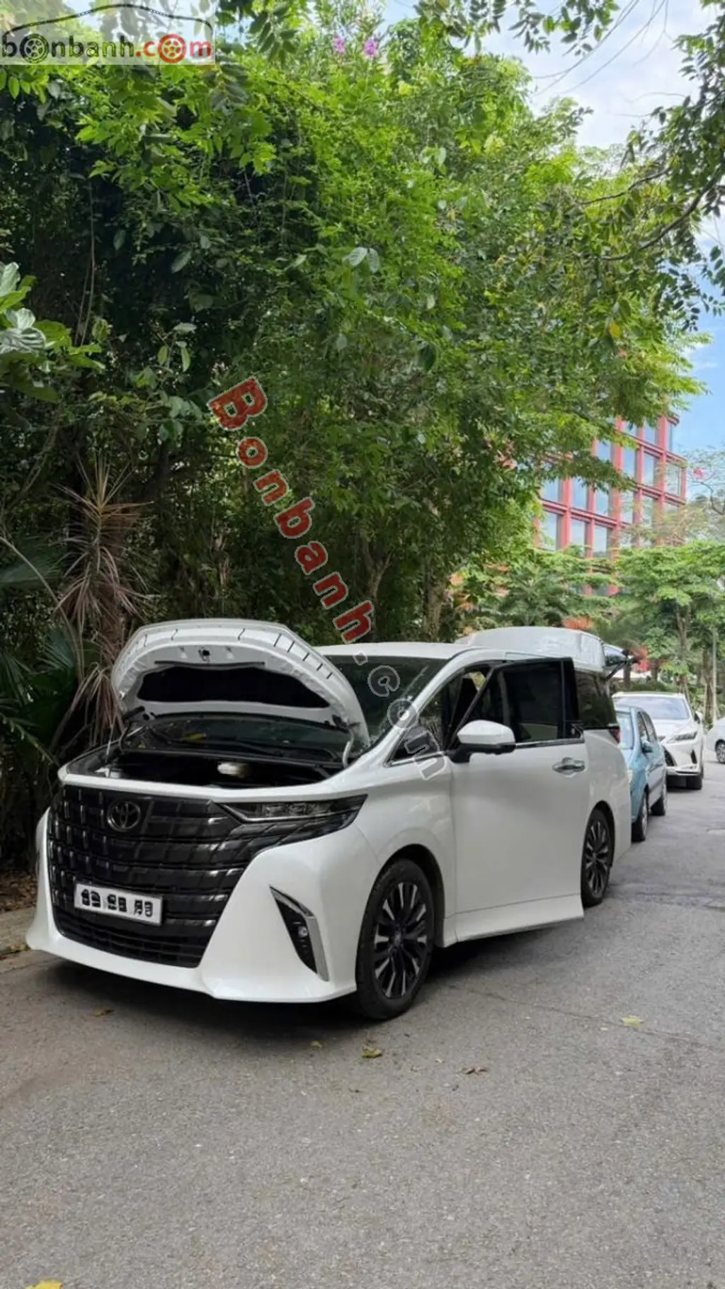 Hình ảnh số 3