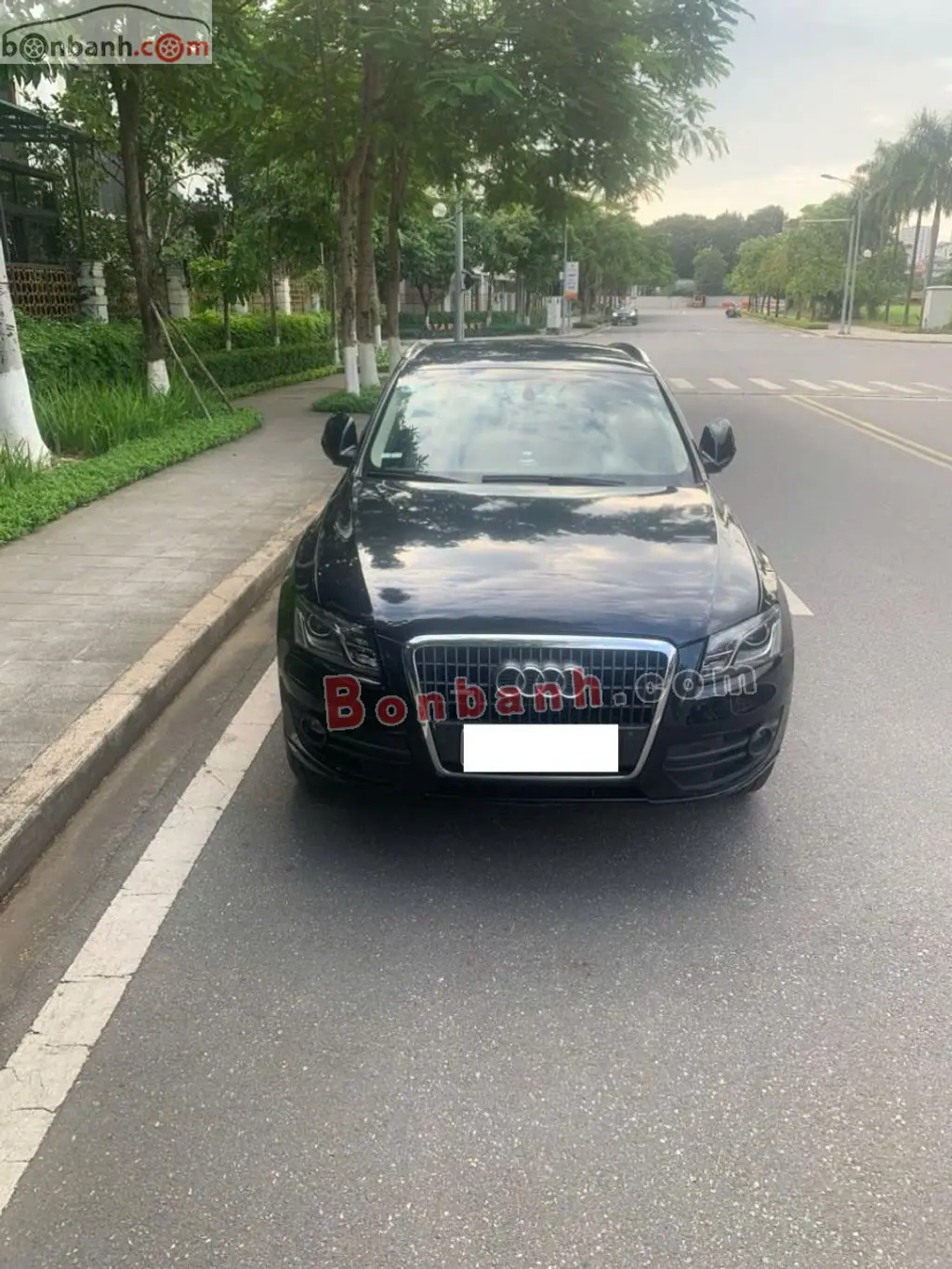 Hình ảnh số 2