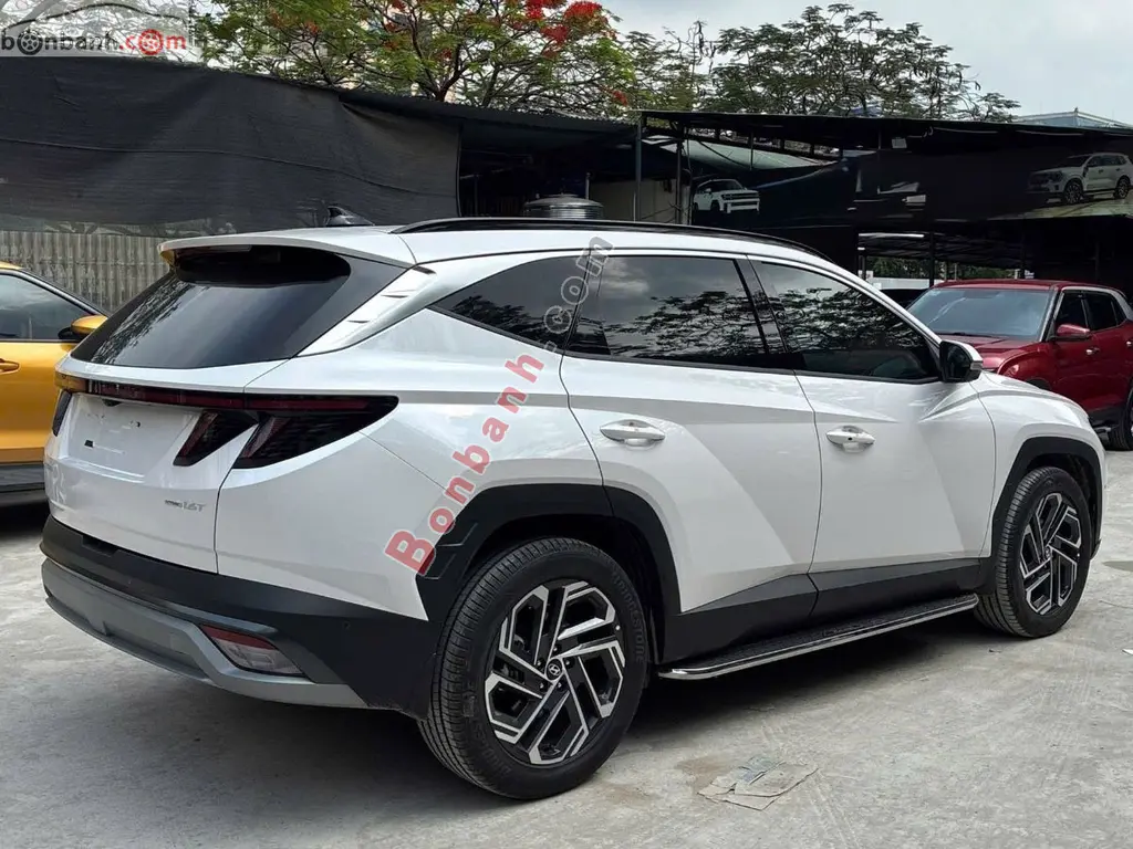 Hình ảnh số 3
