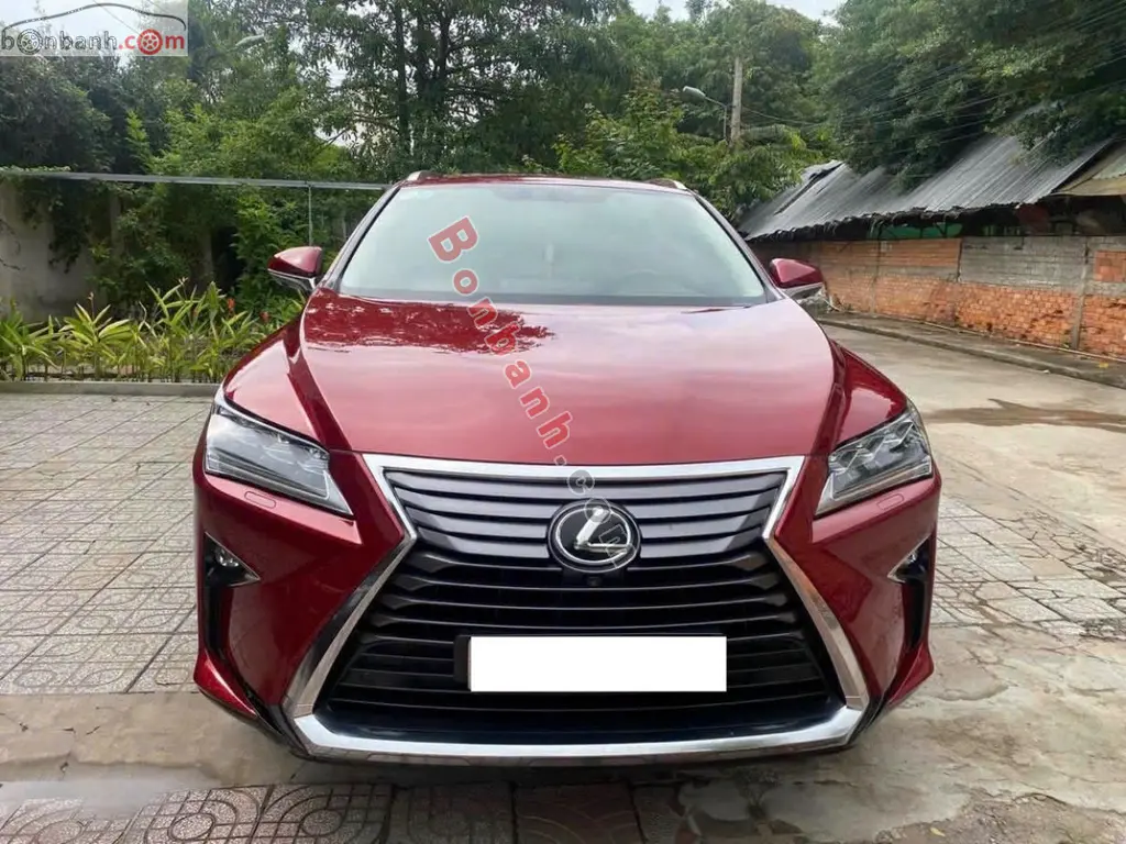 Hình ảnh số 5