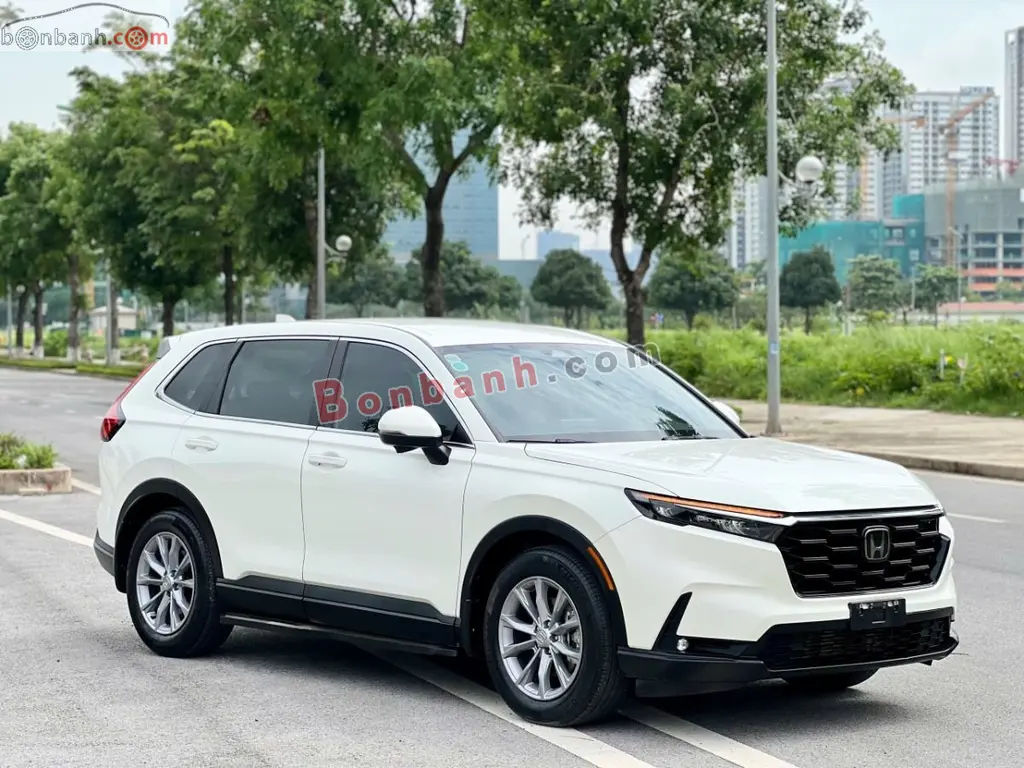 Hình ảnh số 2