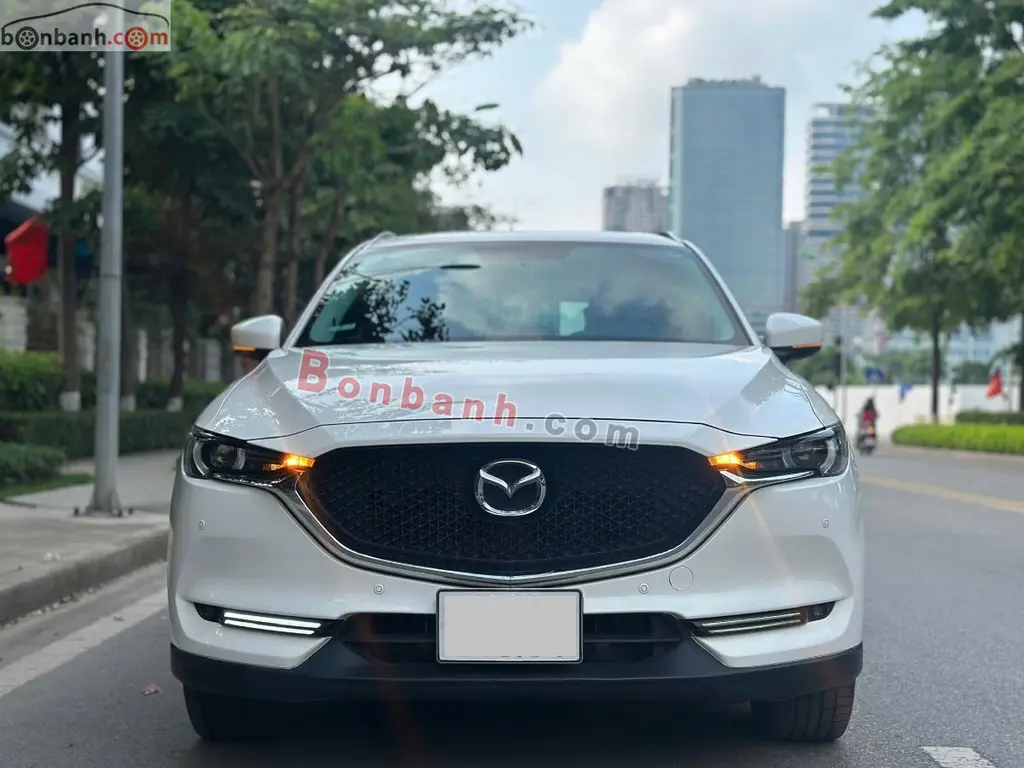 Hình ảnh số 2