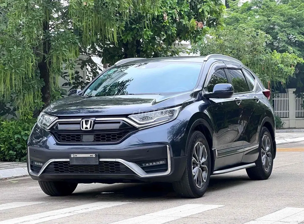 Hình ảnh số 3