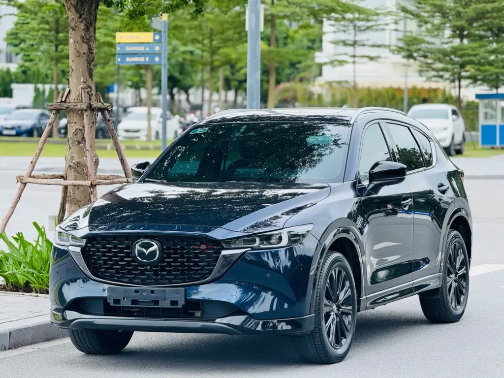 Hình ảnh số 2
