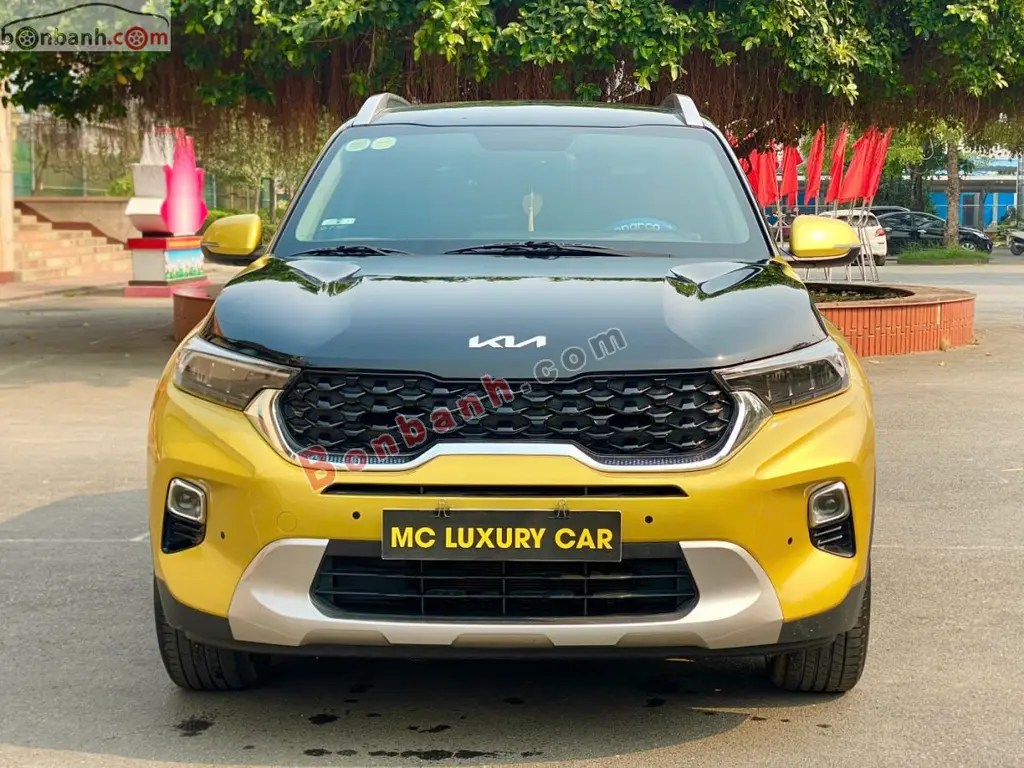 Hình ảnh số 2