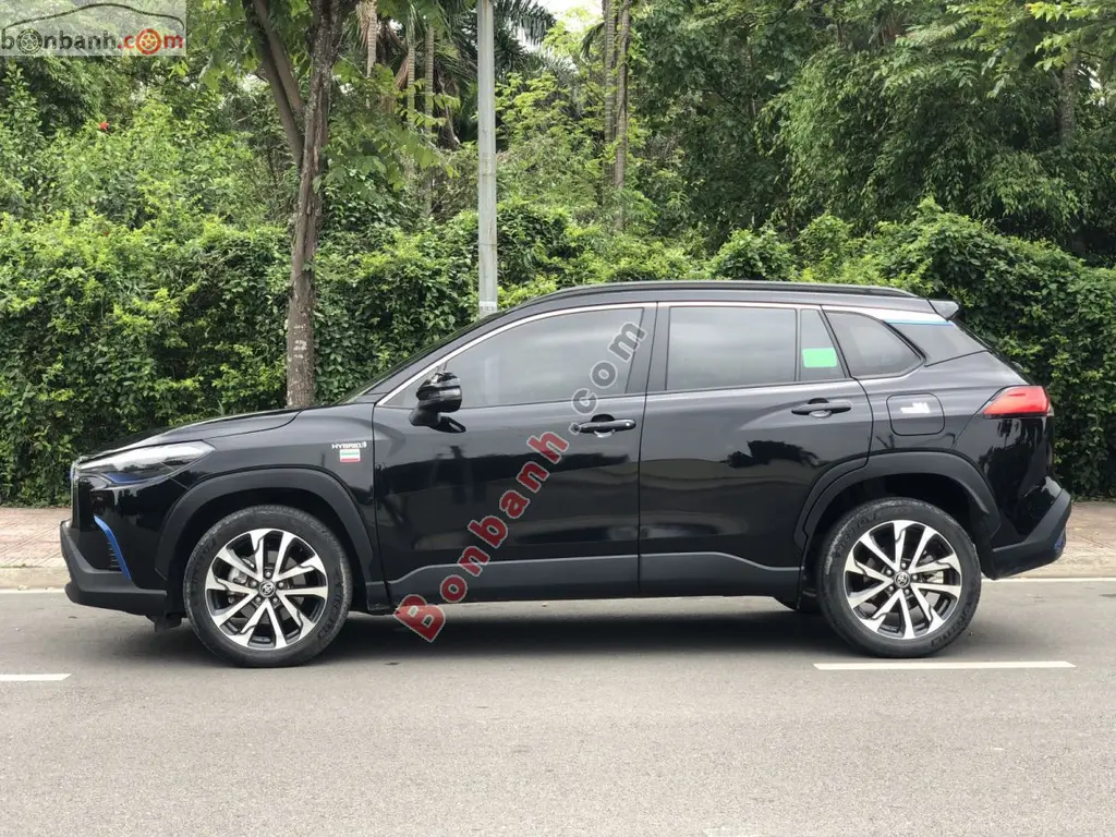 Hình ảnh số 2