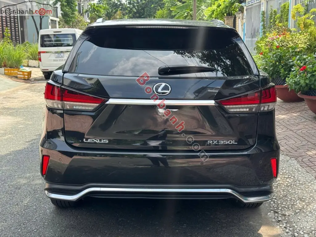 Hình ảnh số 3