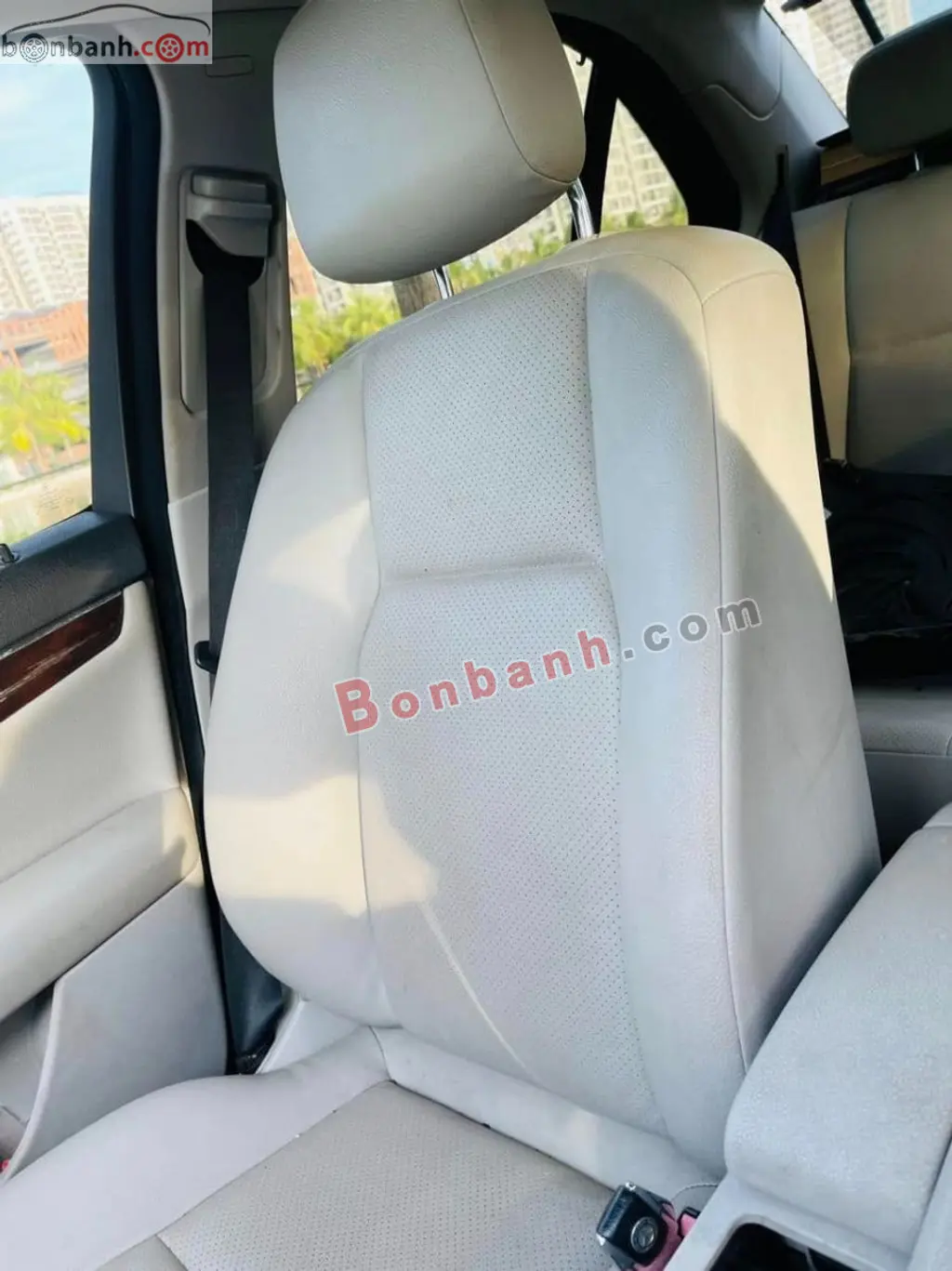 Hình ảnh số 6