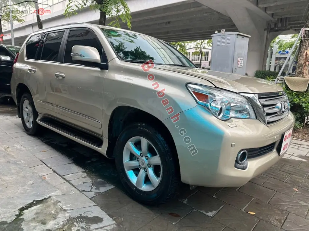 Hình ảnh số 2