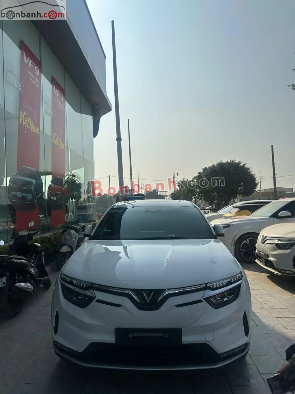 Hình ảnh số 2