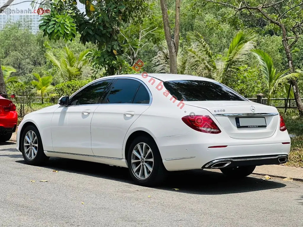 Hình ảnh số 2