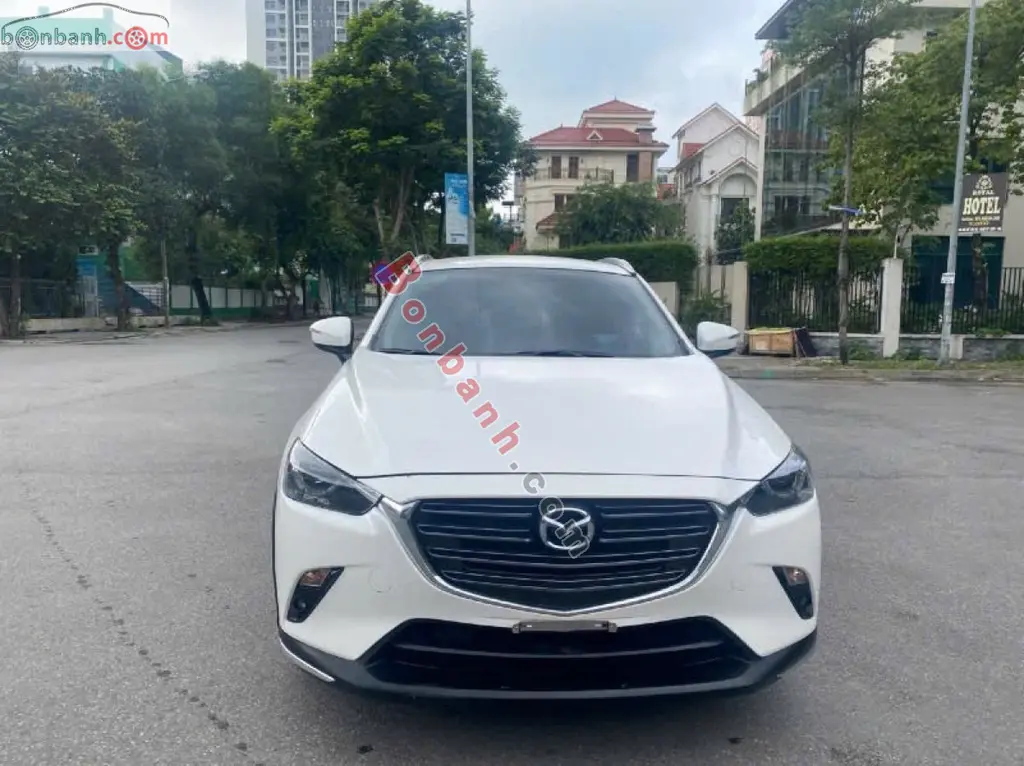 Hình ảnh số 2