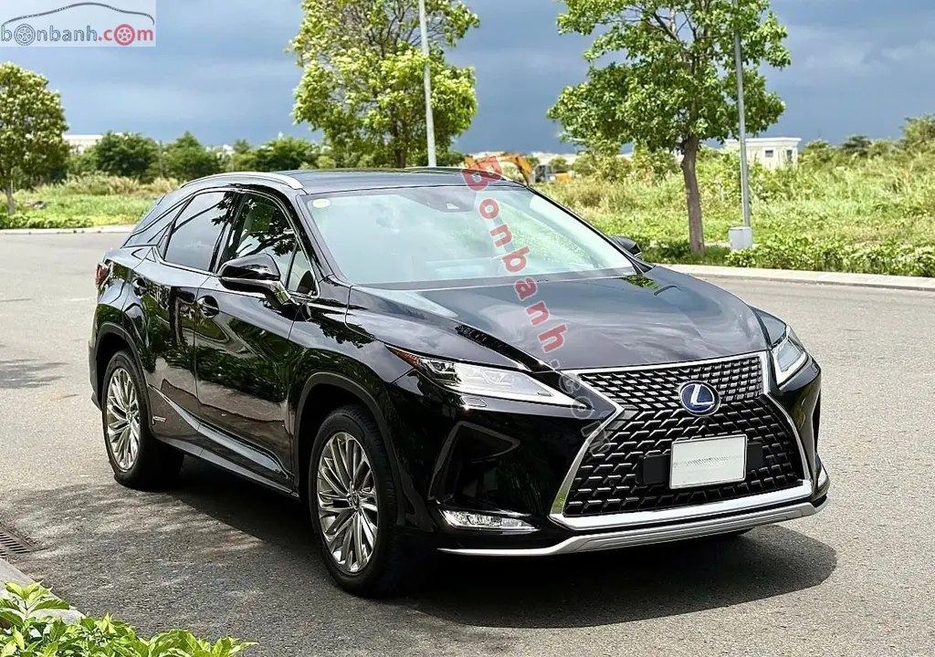 Hình ảnh số 2