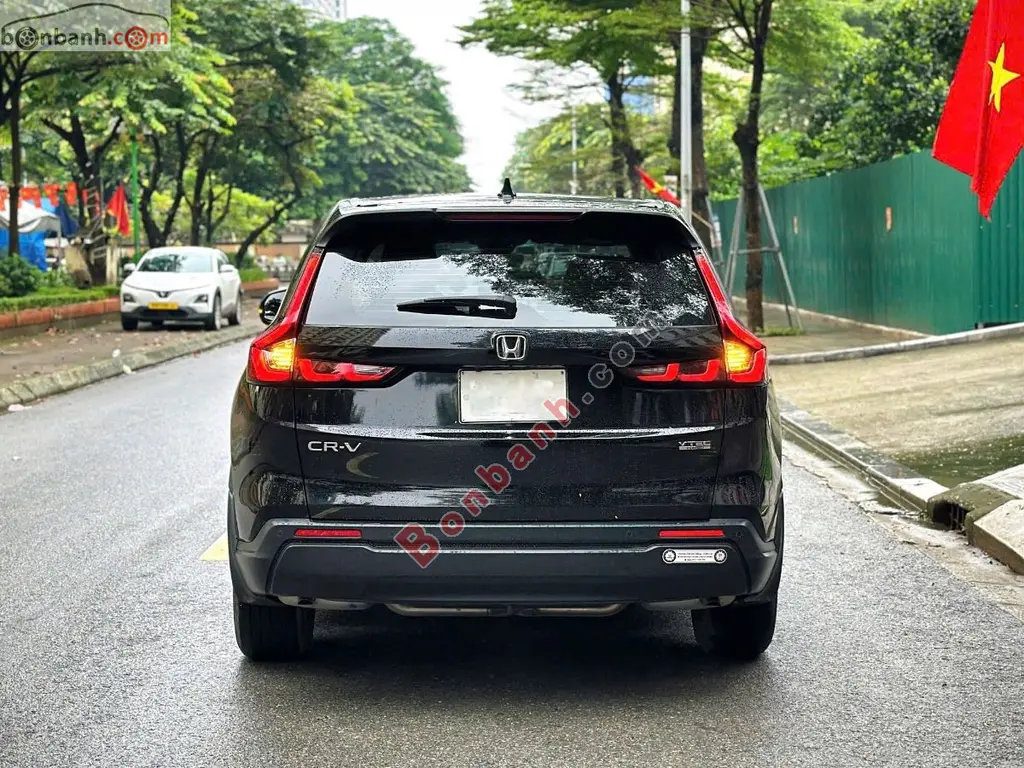 Hình ảnh số 4