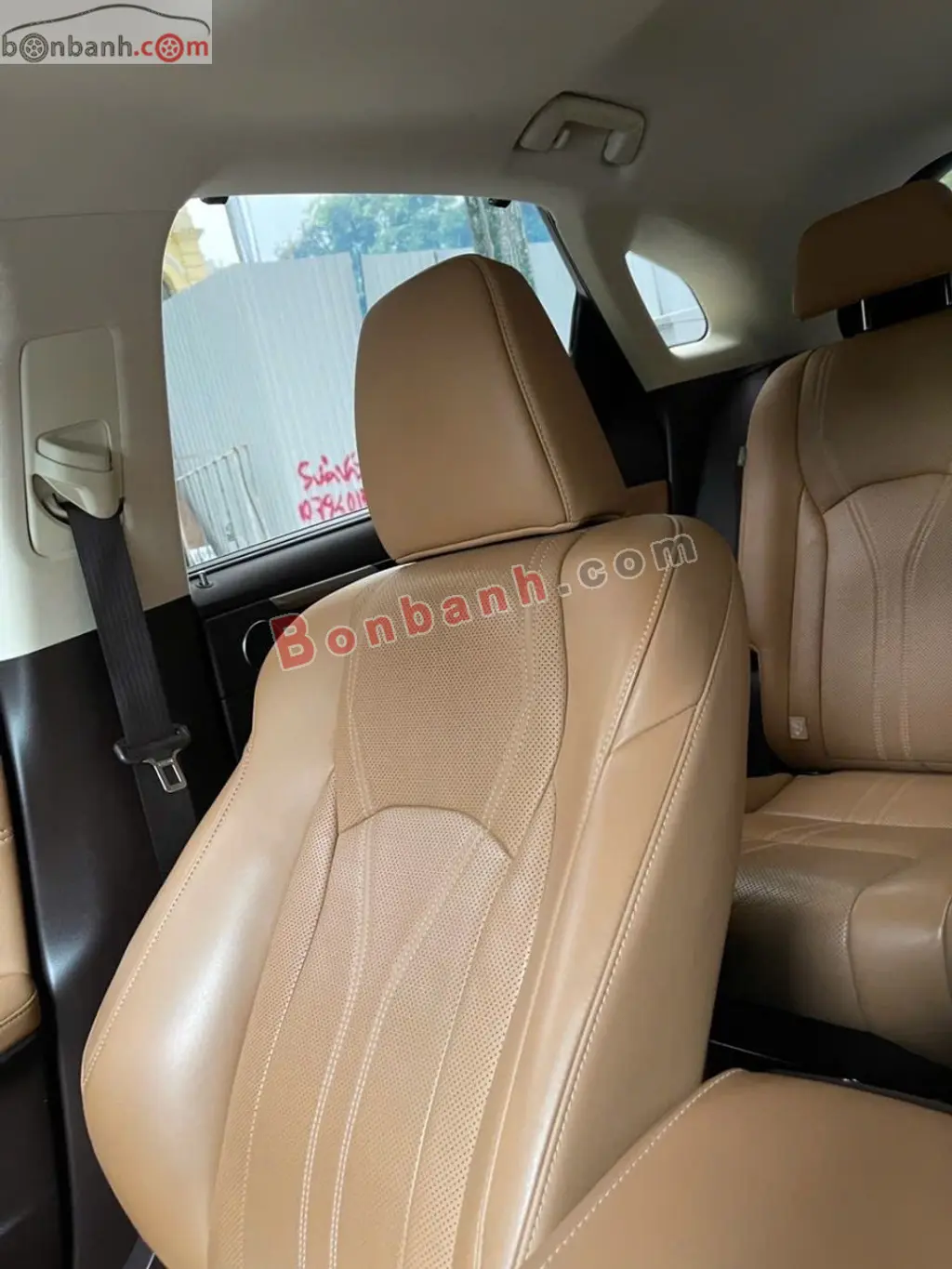 Hình ảnh số 7