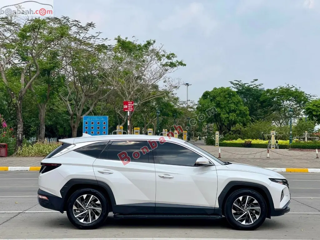 Hình ảnh số 3