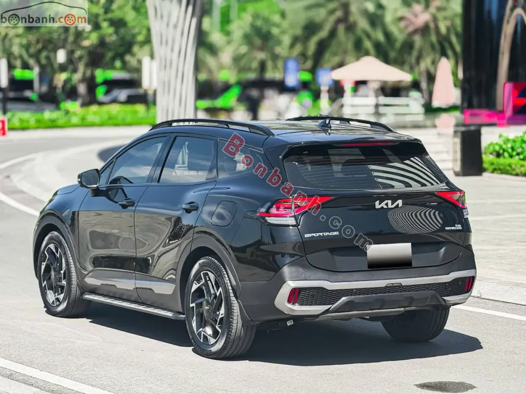 Hình ảnh số 3