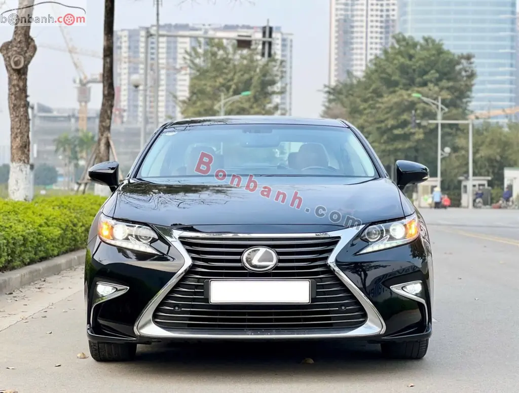 Hình ảnh số 2