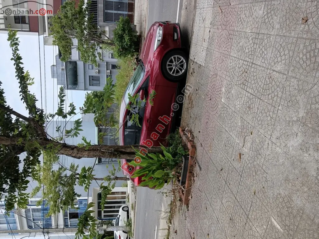 Hình ảnh số 2