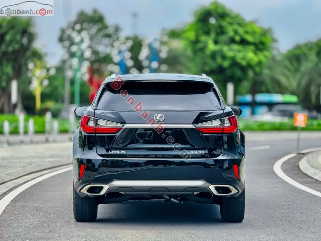 Hình ảnh số 4