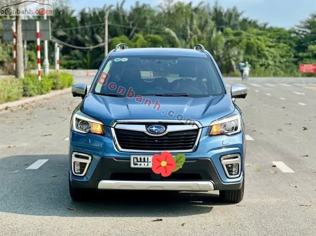 Hình ảnh số 2