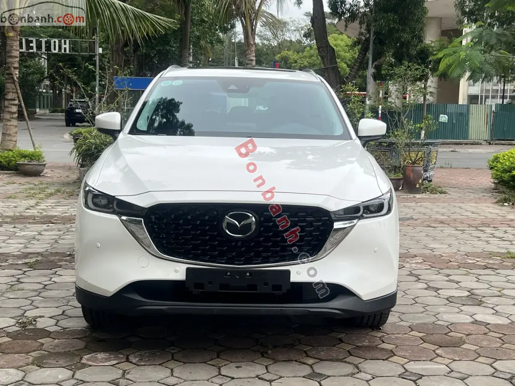 Hình ảnh số 10