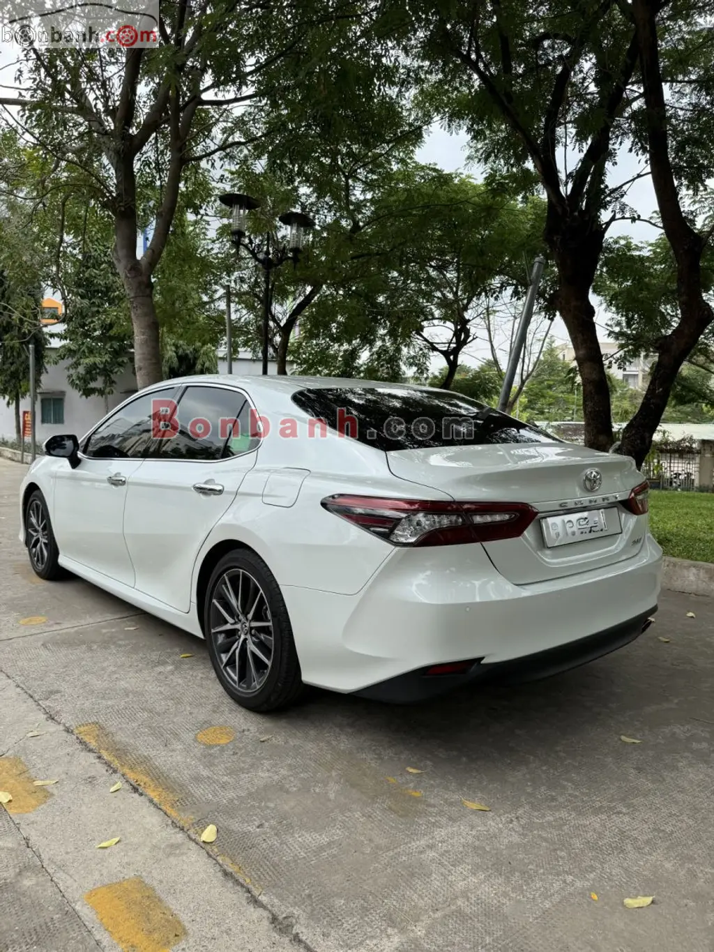 Hình ảnh số 2