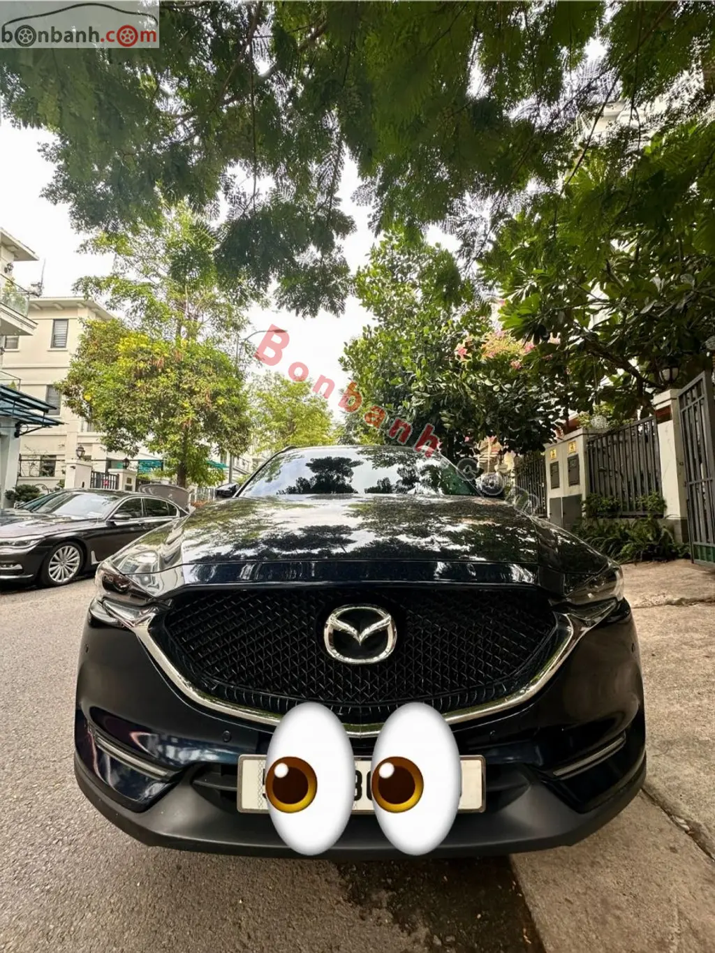 Hình ảnh số 2