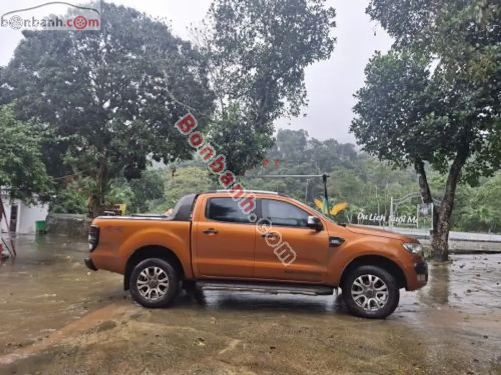 Hình ảnh số 2