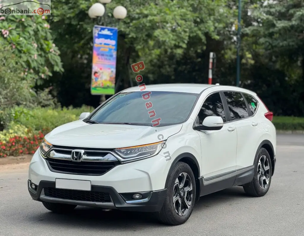 Hình ảnh số 3