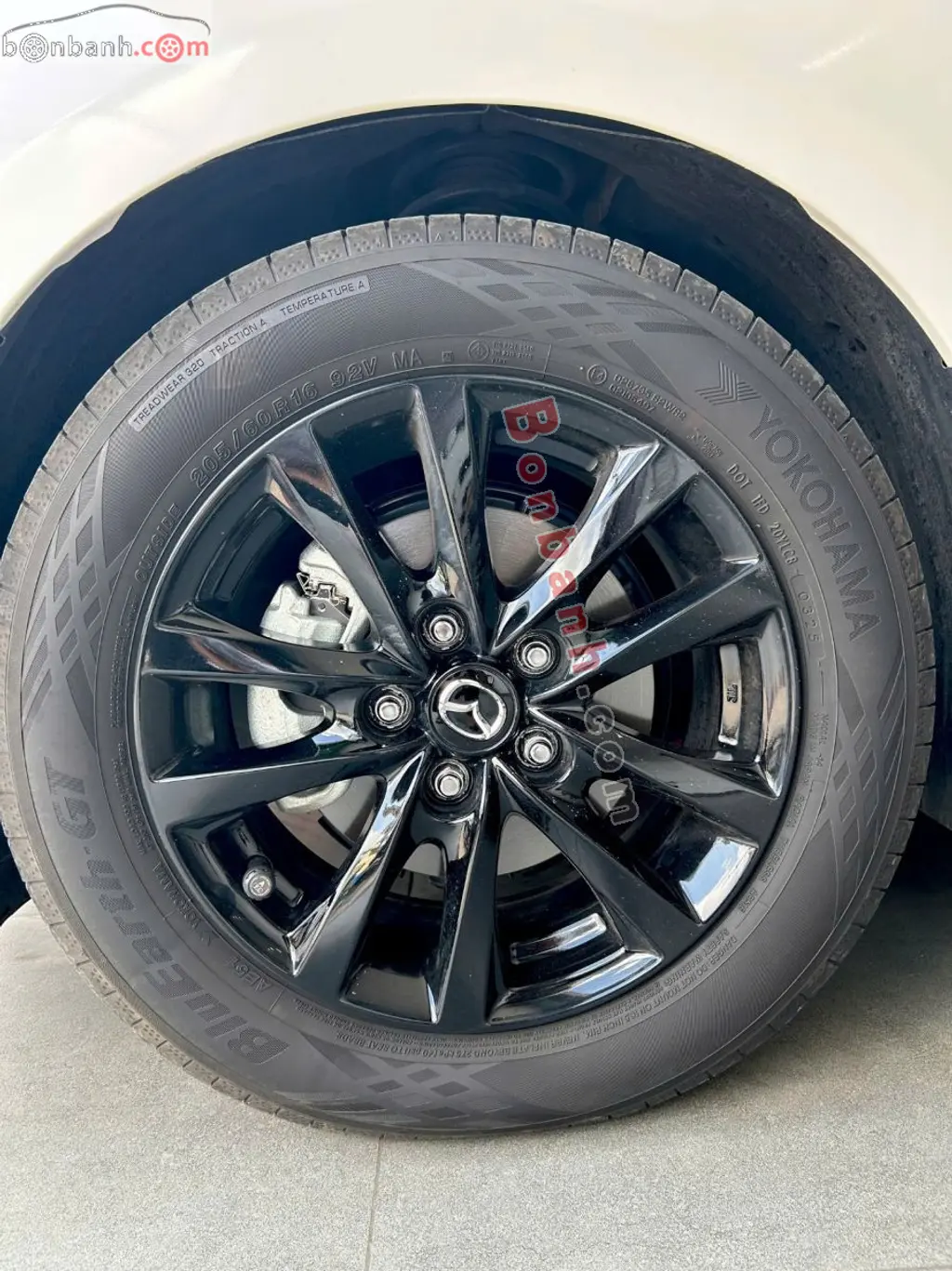 Hình ảnh số 10