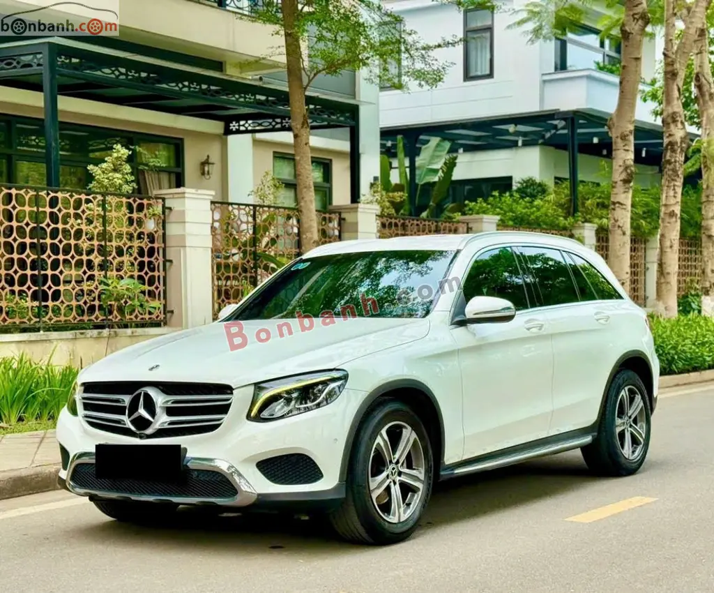 Hình ảnh số 2