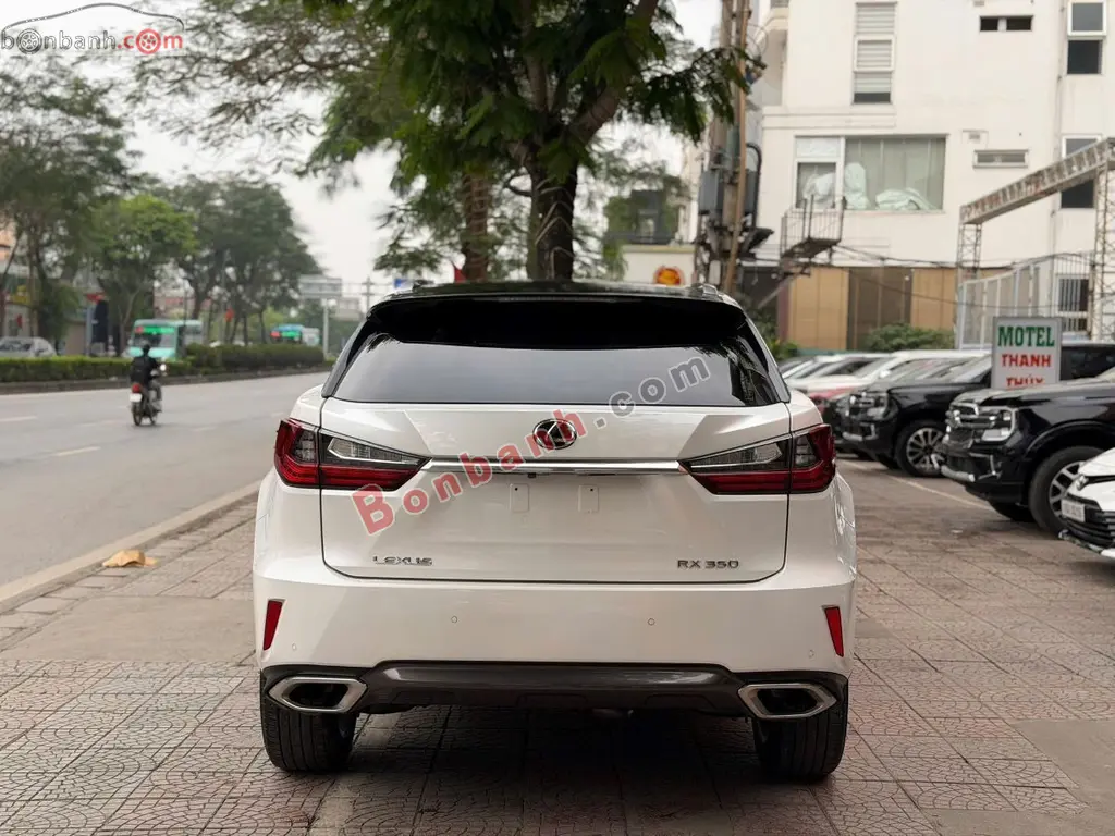 Hình ảnh số 5