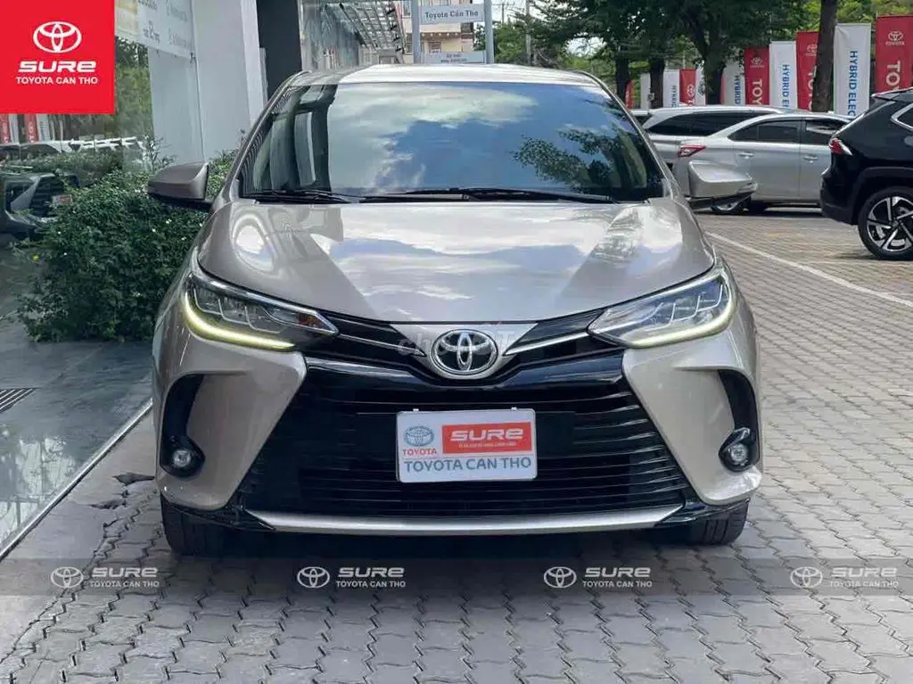 Hình ảnh số 2