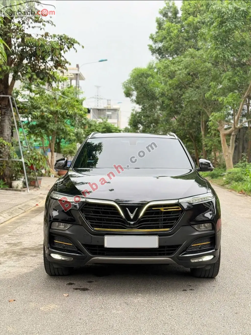 Hình ảnh số 2