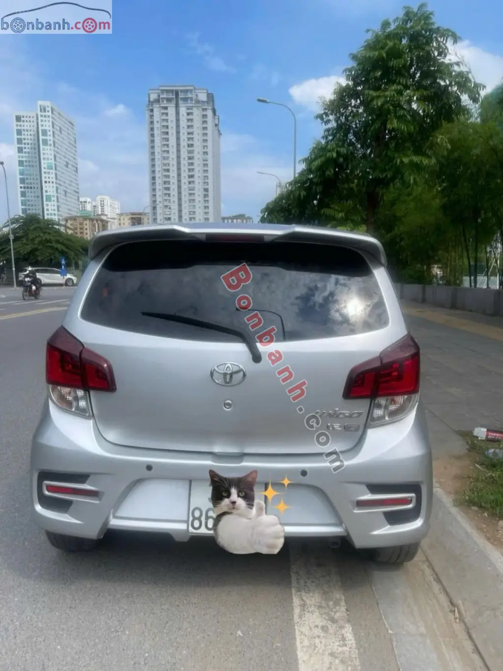 Hình ảnh số 4