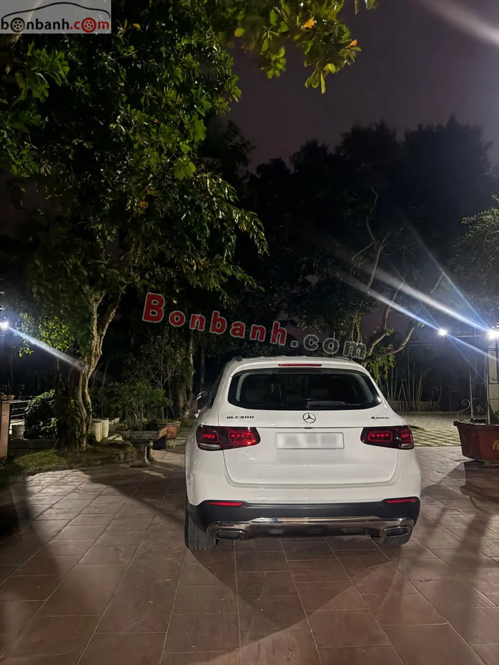 Hình ảnh số 2