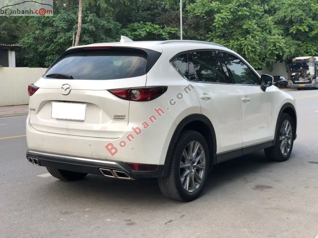 Hình ảnh số 3
