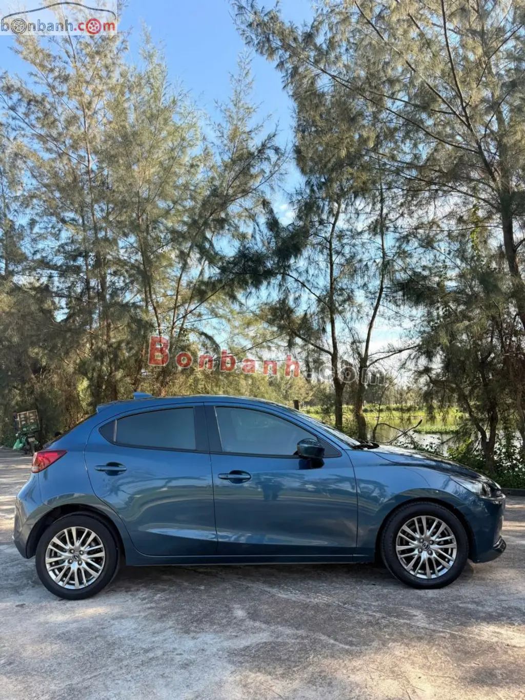 Hình ảnh số 4