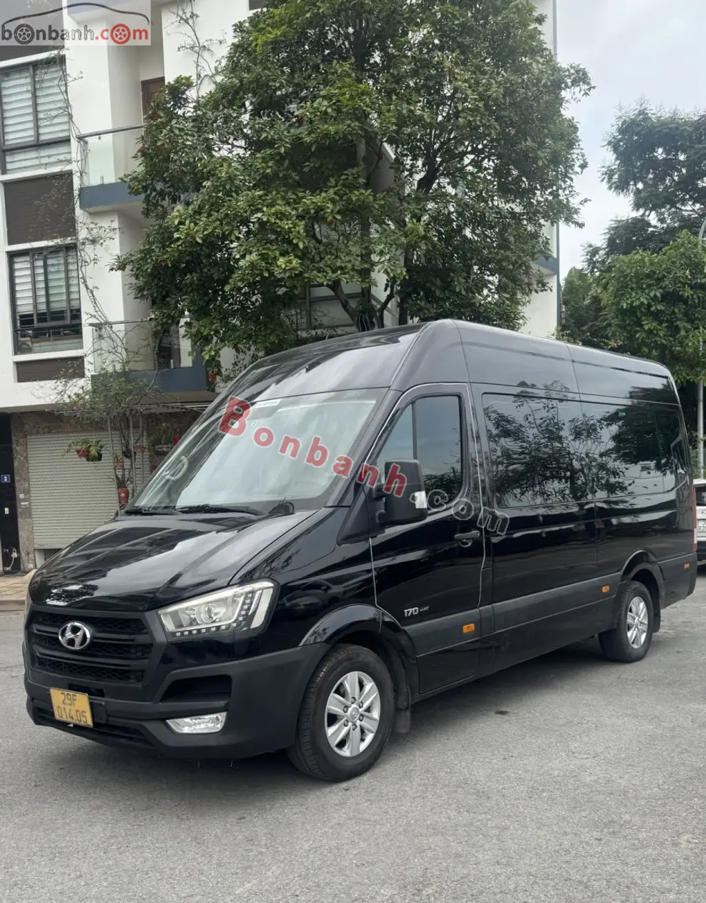 Hình ảnh số 2
