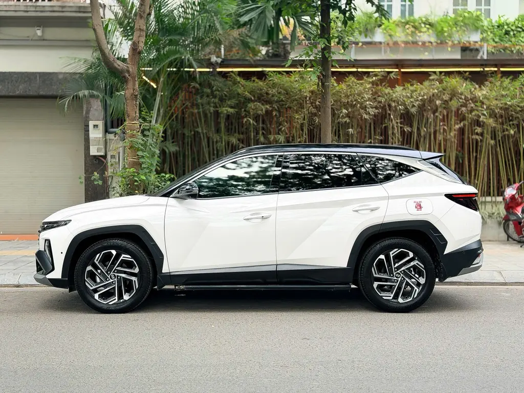 Hình ảnh số 35