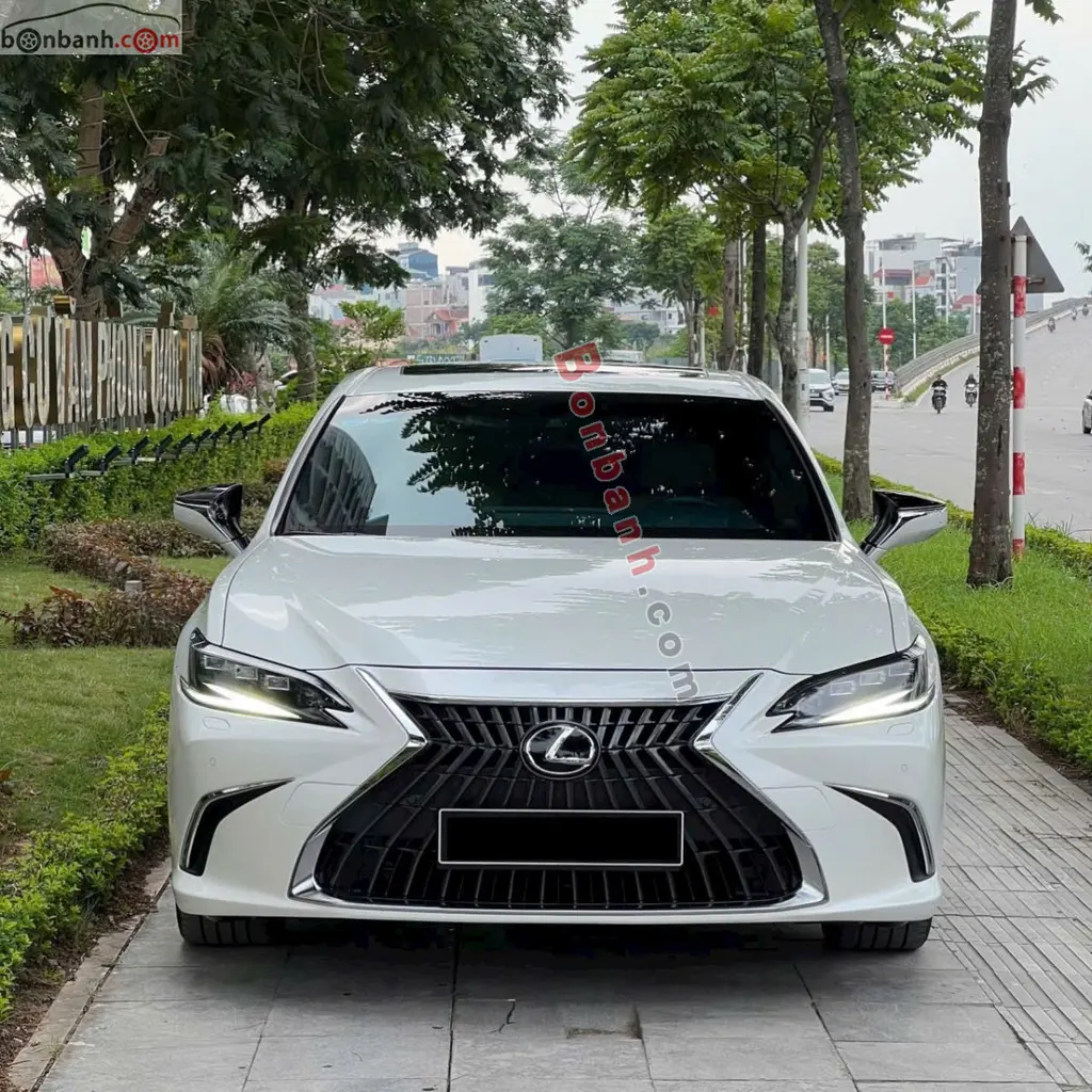 Hình ảnh số 2
