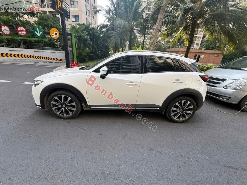 Hình ảnh số 2