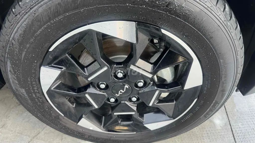 Hình ảnh số 19