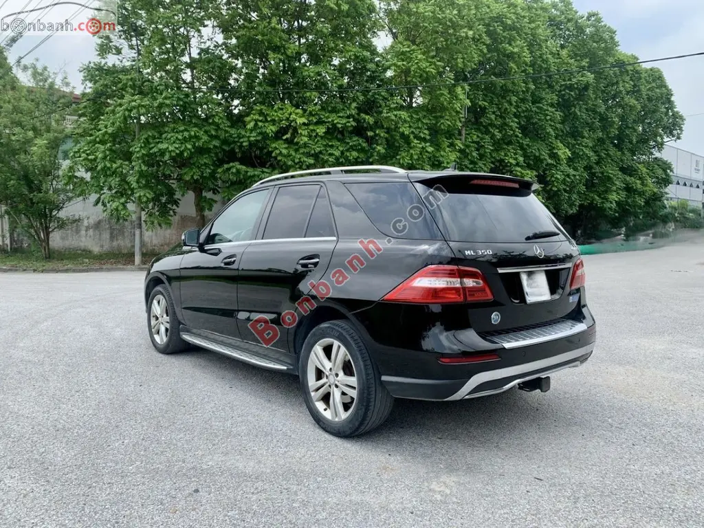 Hình ảnh số 2