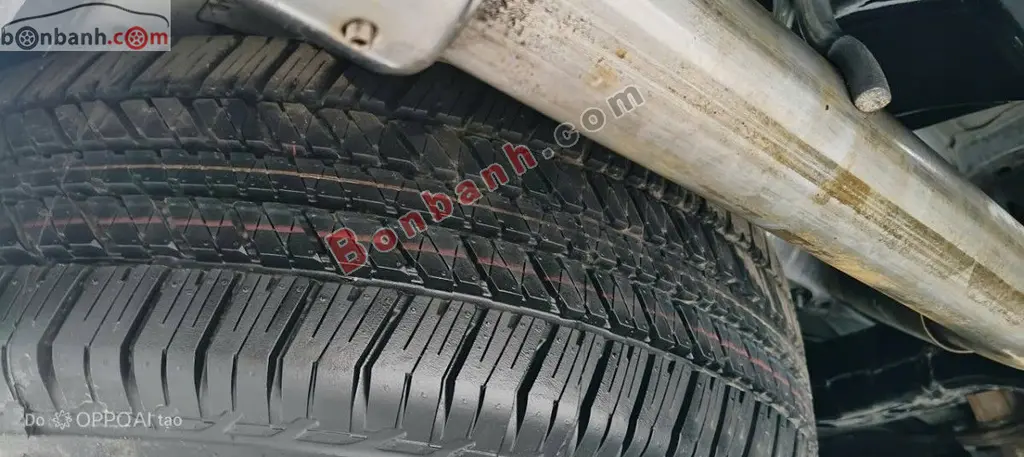 Hình ảnh số 10