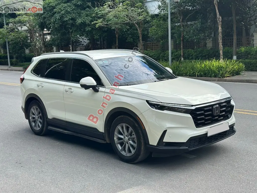 Hình ảnh số 2