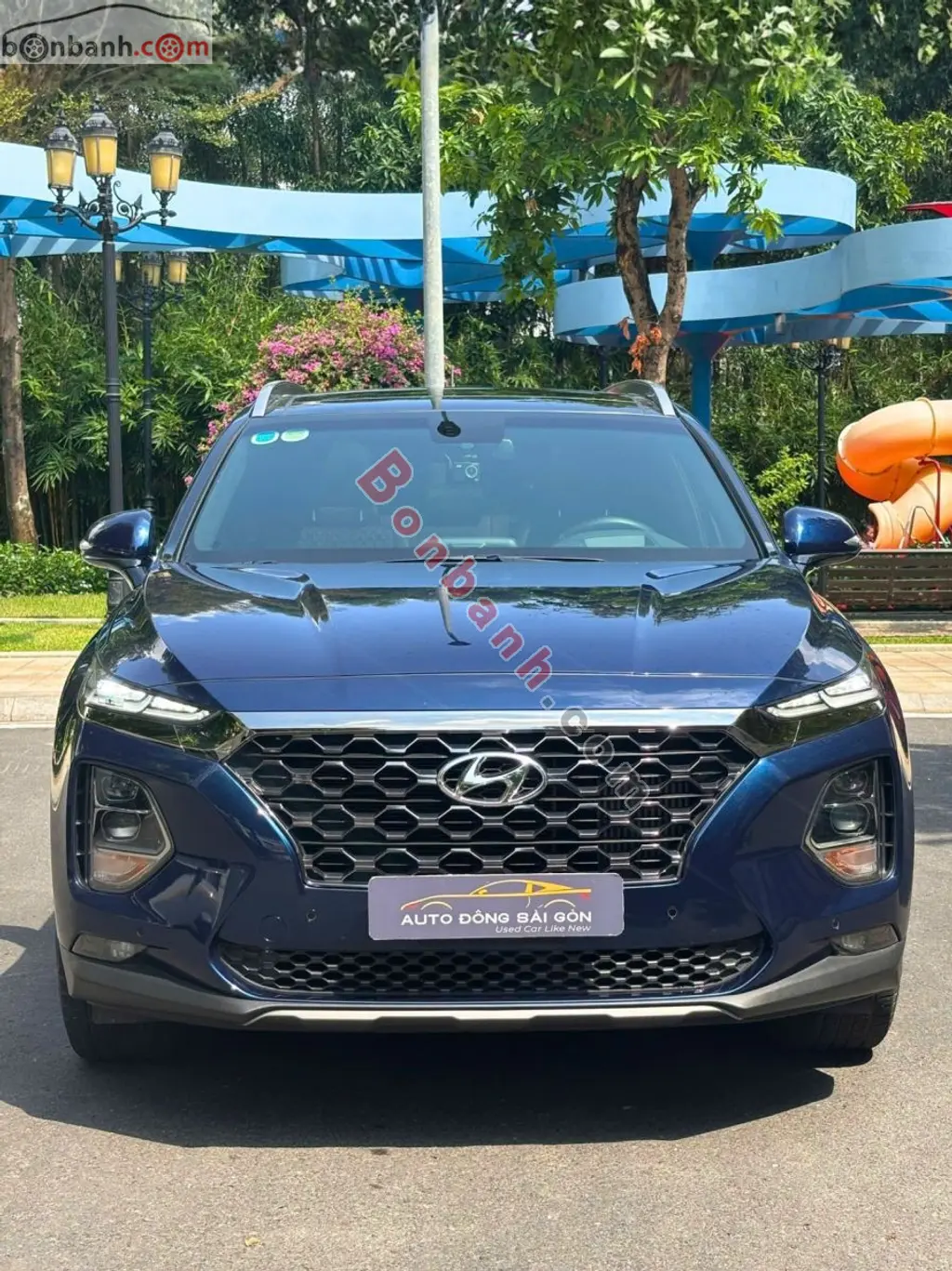Hình ảnh số 2