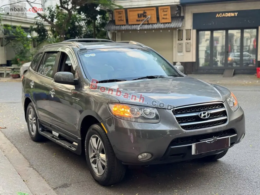Hình ảnh số 2