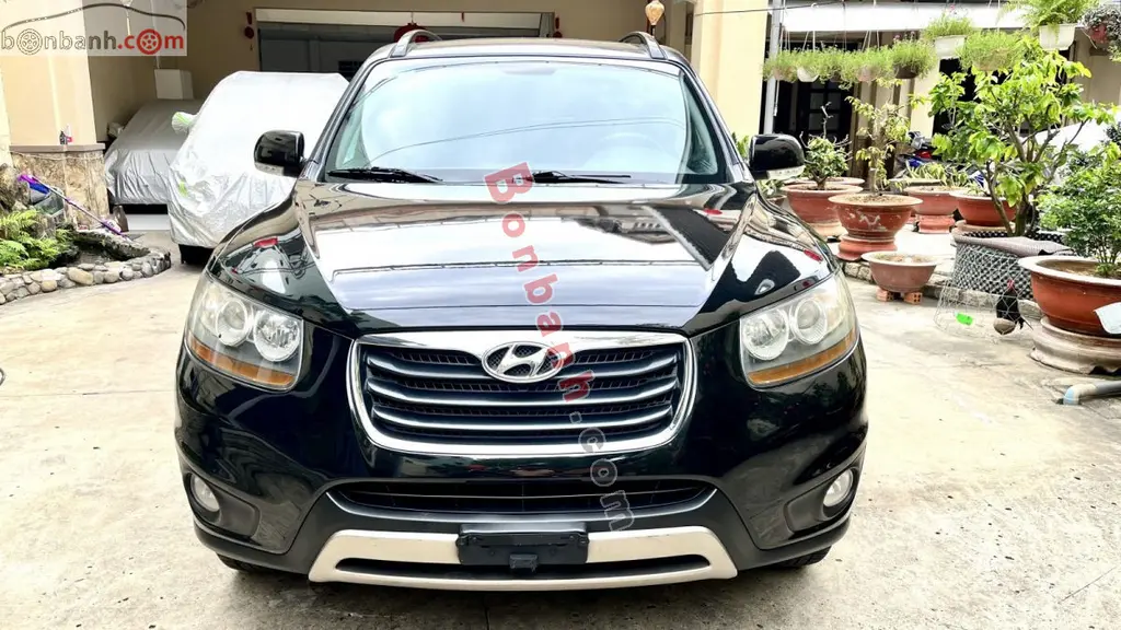 Hình ảnh số 2